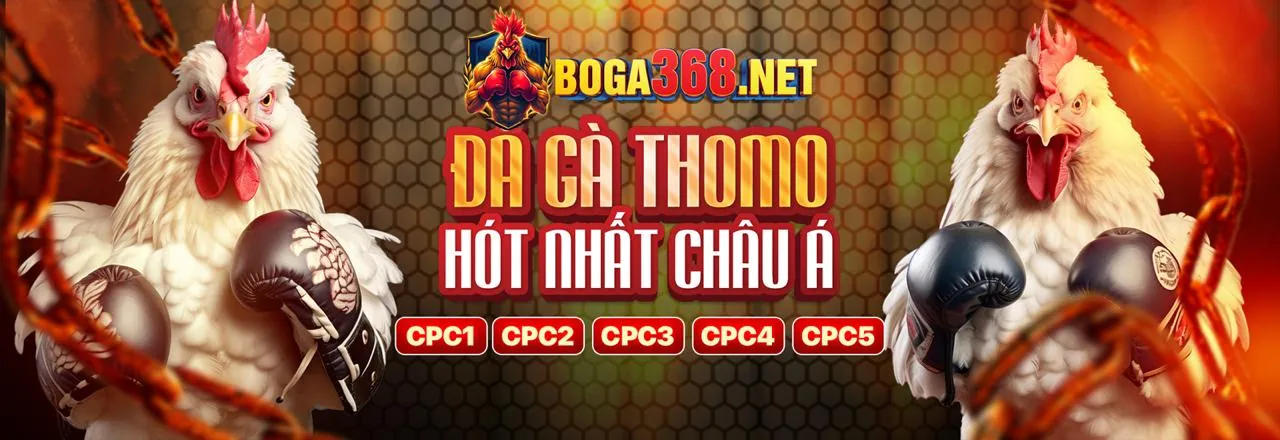 Đá gà trực tuyến VN88PRO Nổ Hũ
