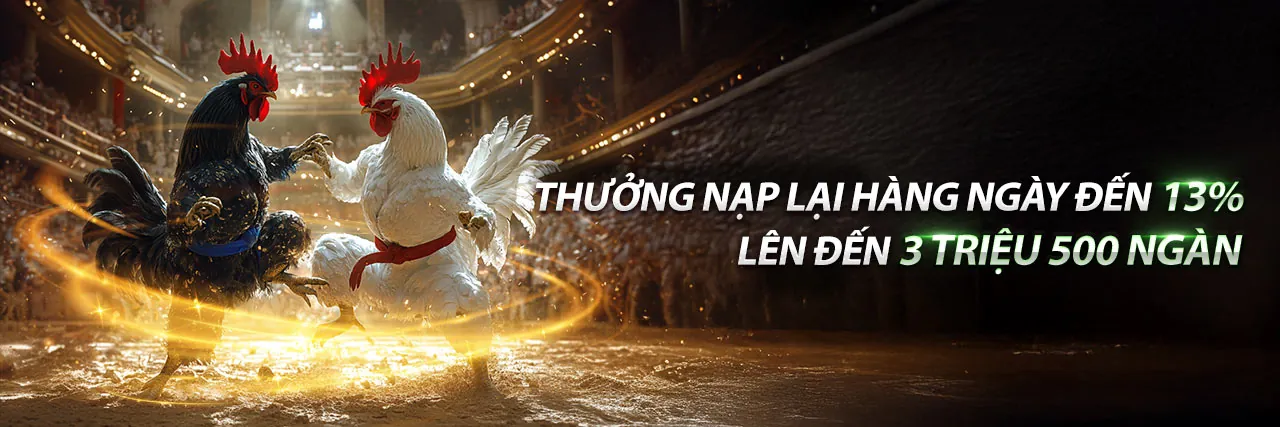 Sân vận động tràn ngập ánh đèn, thể hiện sự sôi động của cá cược thể thao vn88pro nổ hũ